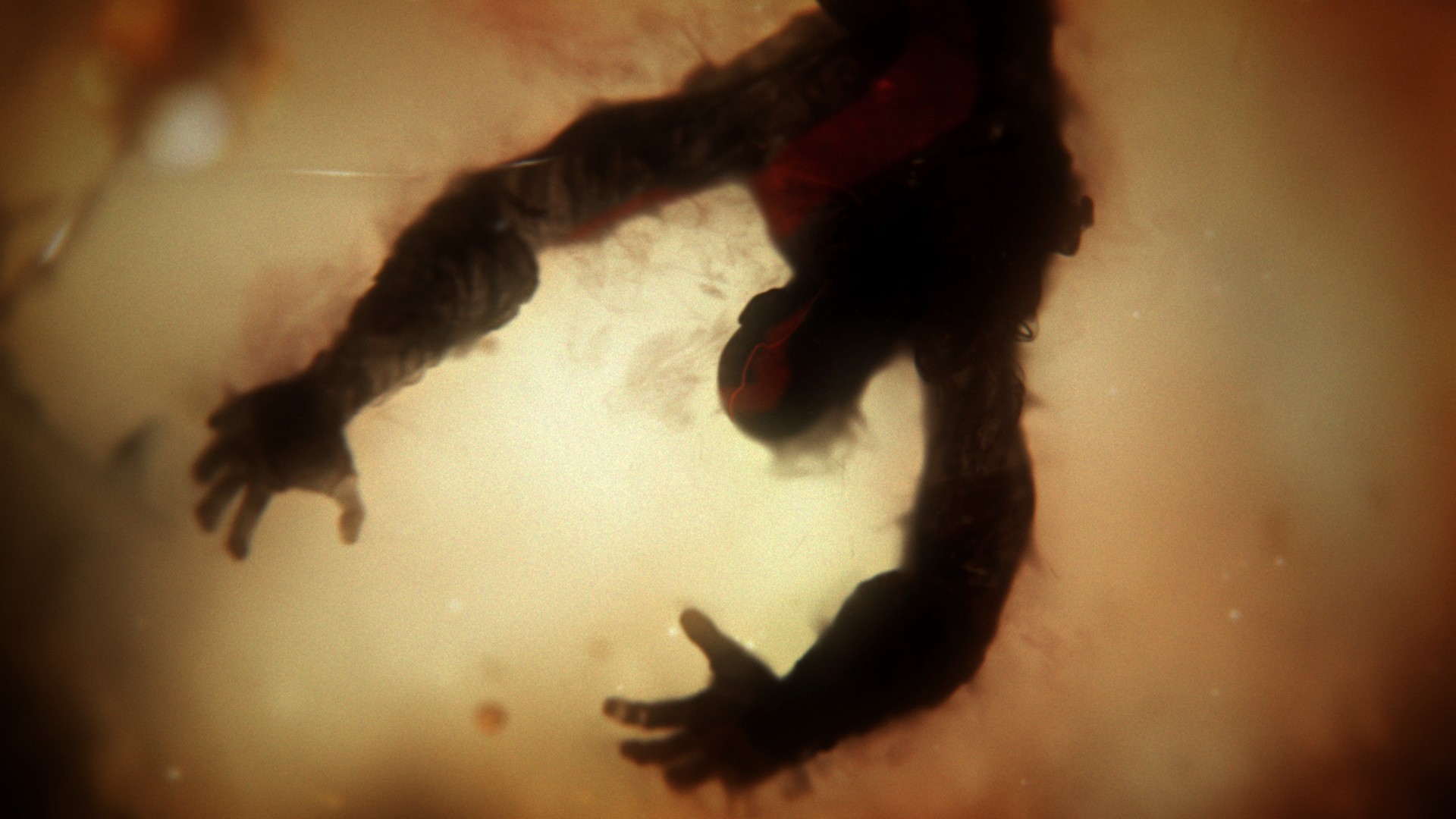 God of War: Ascension (Edición Coleccionista) - Imagen 41